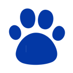 VETERINARIO (2)