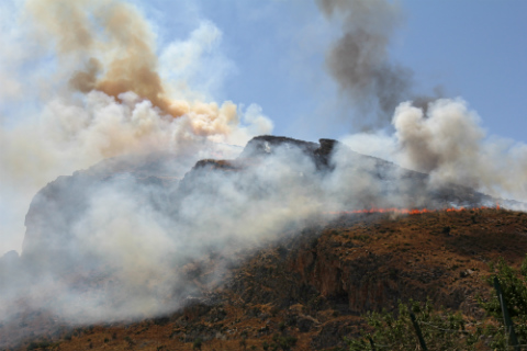 bosques-ardiendo