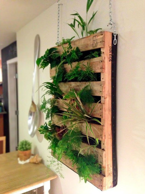 jardin-en-casa-decoracion-pared