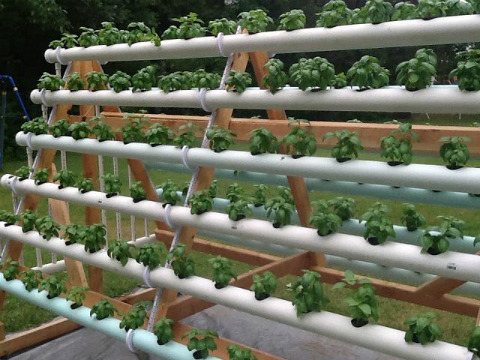 jardin-en-casa-ecoinventos