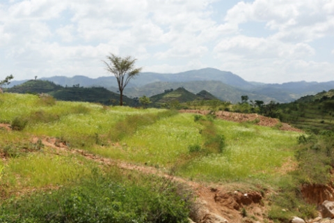 medio-ambiente-naturaleza-campo