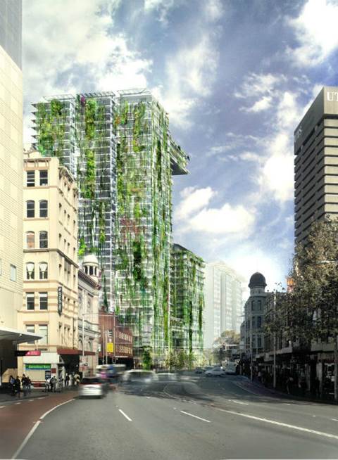 naturacion-urbana-ciudad
