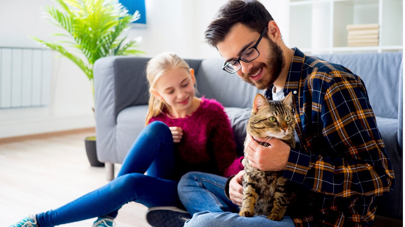 seguro-mascotas-gato
