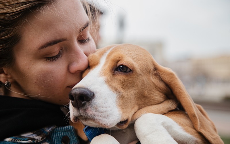 Cómo afectan las emociones humanas a la salud de tu mascota