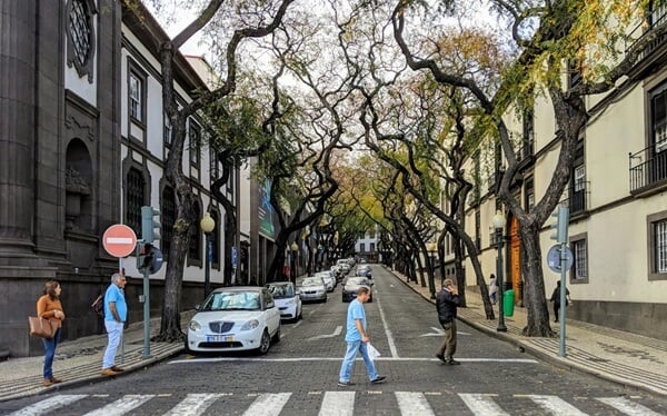 Cómo evitar atropellos: tecnología, ciudades a 30 km/h y seguridad peatonal