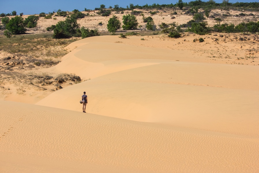 El hombre que detuvo el avance del desierto