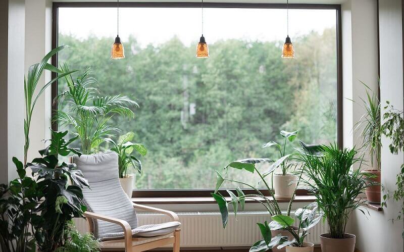 Guía de la decoración sostenible en los hogares