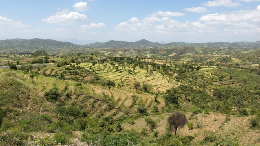 Los países en desarrollo, ejemplo de como cuidar el medio ambiente