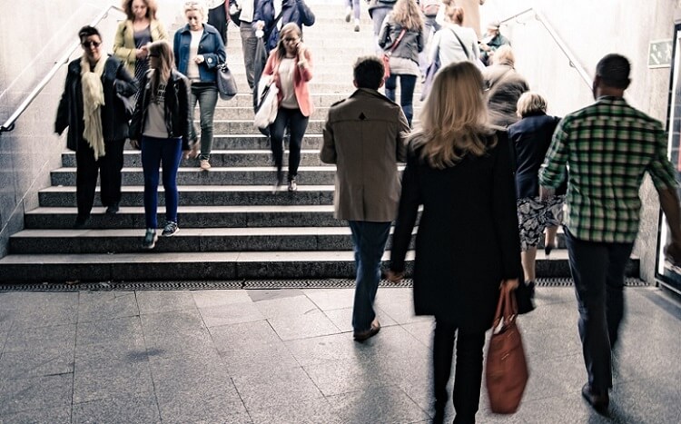 Seguros que protegen tu movilidad